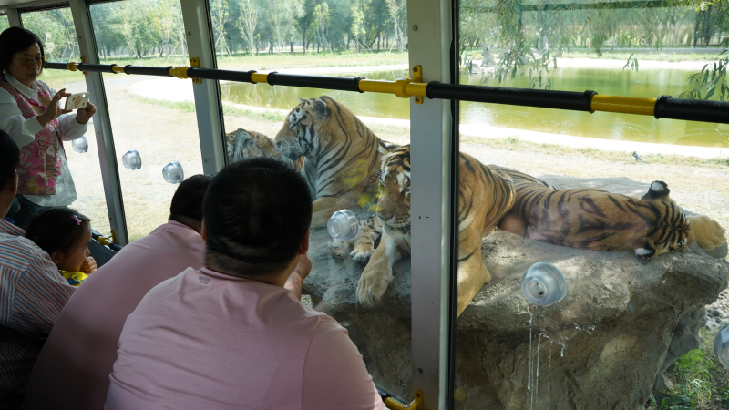 �й�KY��Ԫ(����)���޹�˾