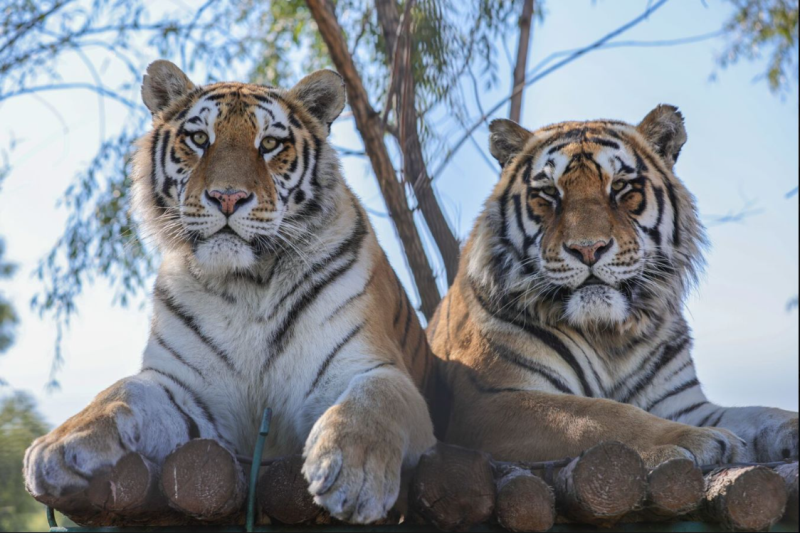 �й�KY��Ԫ(����)���޹�˾