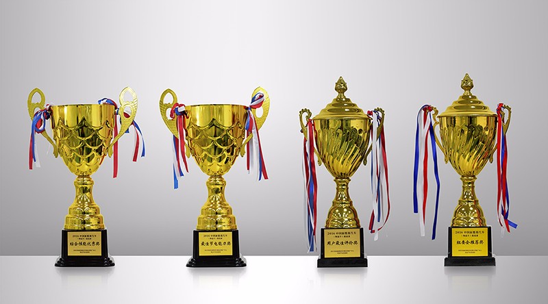 ���ú�ʨ���綯��ʽ�������������һƥ����