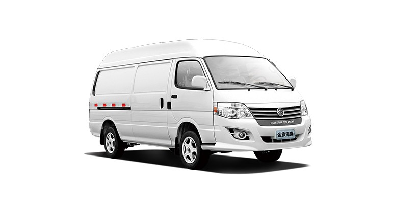 ��ʨ������